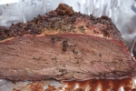 Smoked Beef Roast